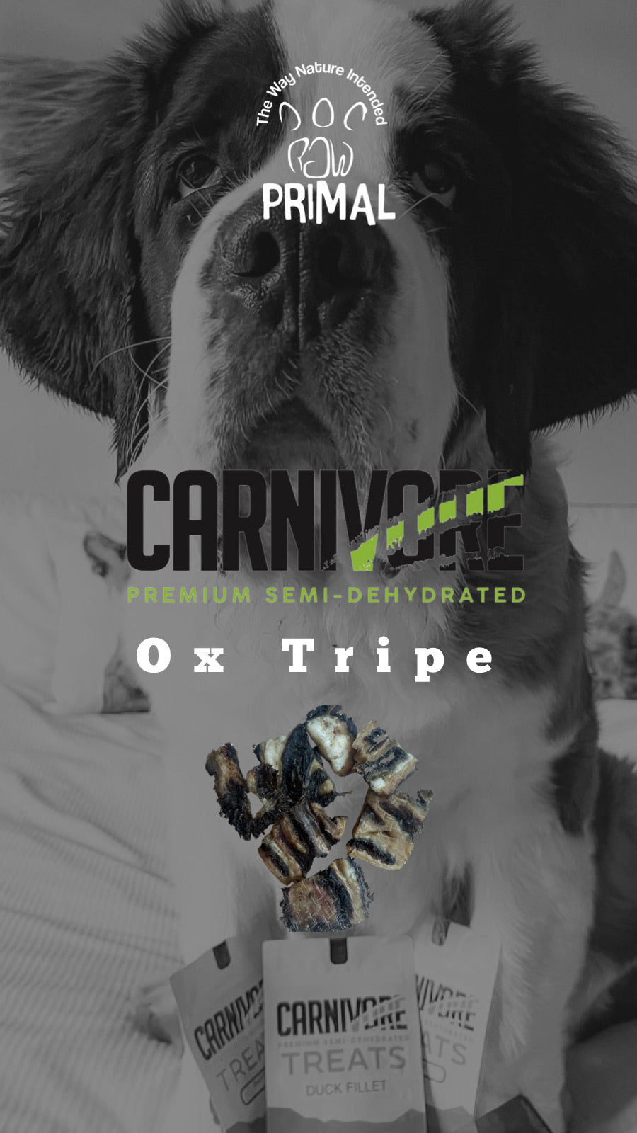 Ox Tripe treats 60g