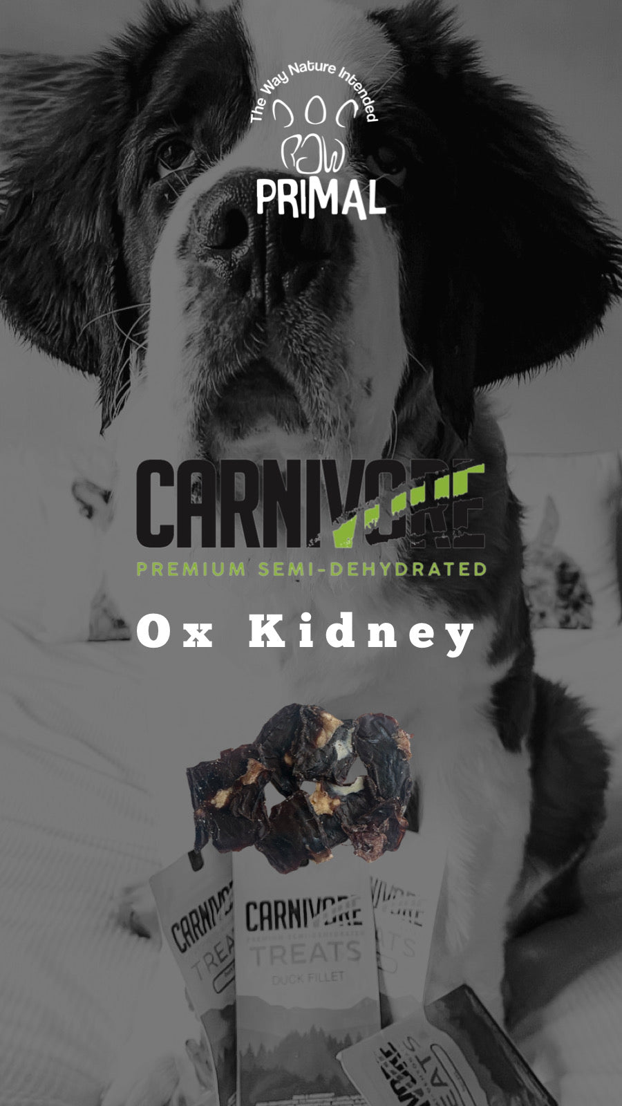 Ox Kidney Treat 50g