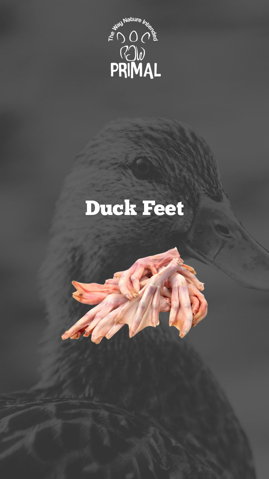 Duck Feet- 500g