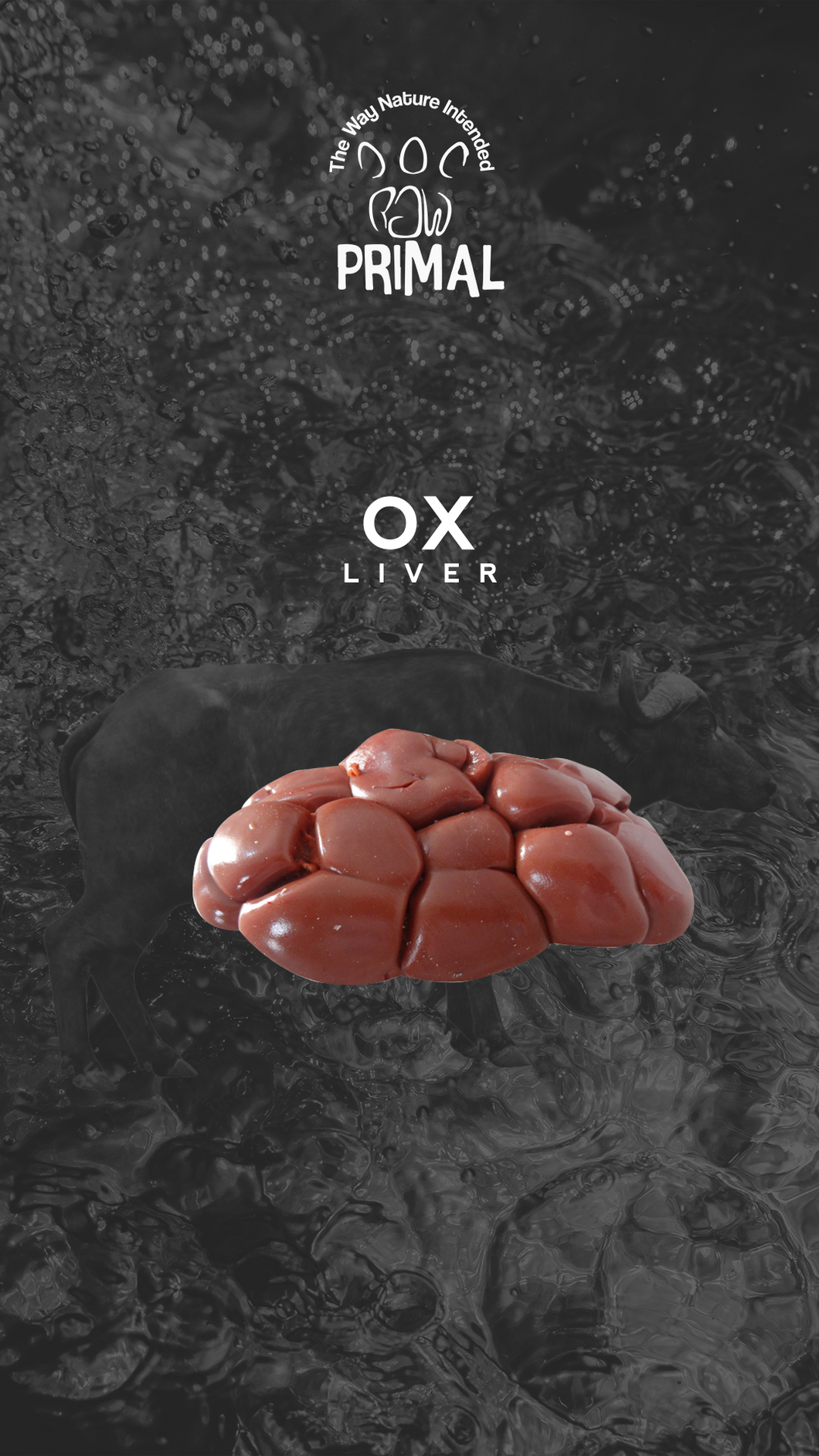 Ox Liver p 500g