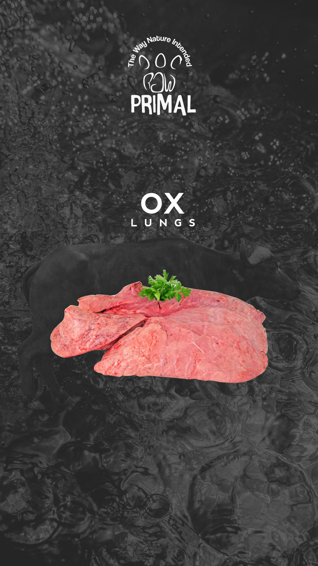 Ox Lungs p 500g