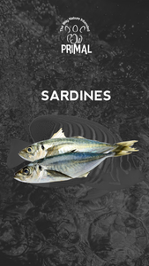 Sardines p 500g