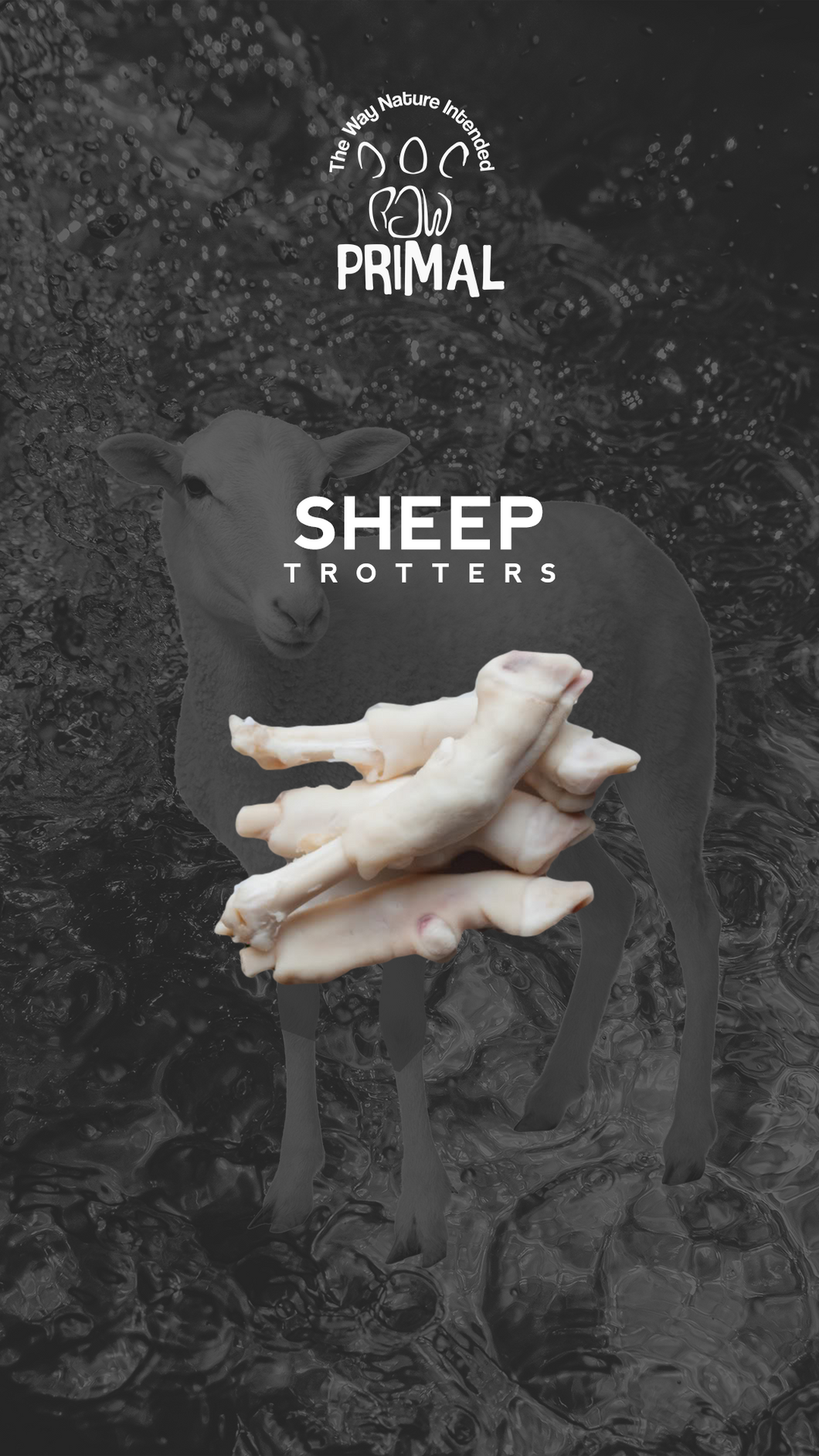 Sheep Trotters p kg