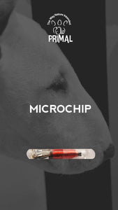 Microchips